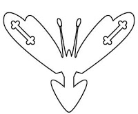 unlimited-design-butterfly