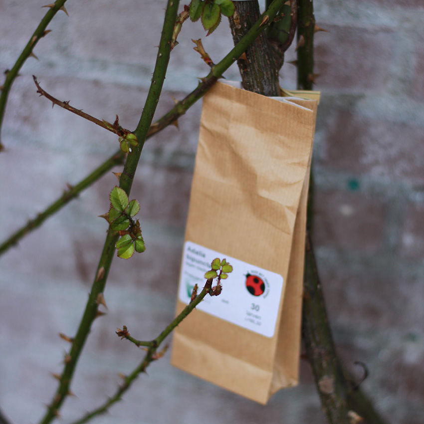 natural gardening pest control: ladybug bag